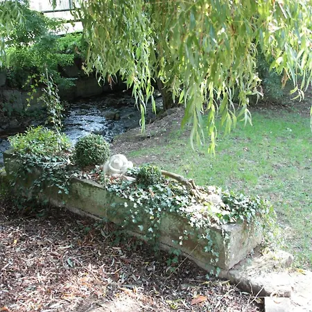 Elsbach-perle * Oberelsbach