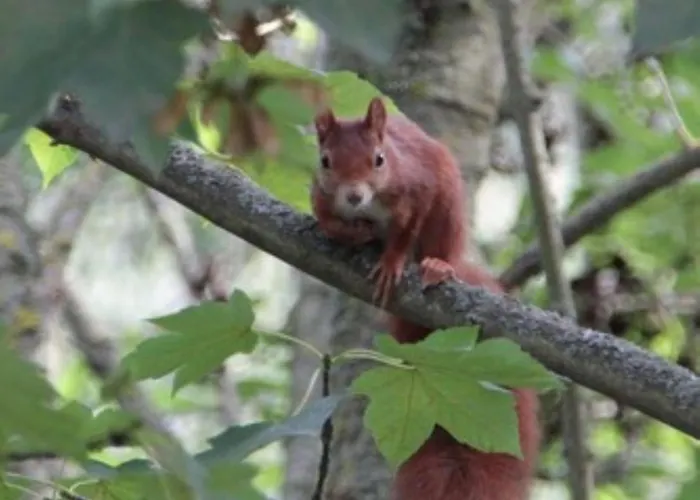 Elsbach-perle 아파트 Oberelsbach